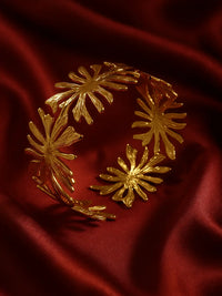 Nui India 