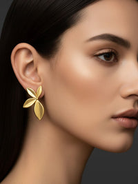 Nui India 